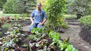 A Closer Look At The Garden Row Snip-n-Drip Soaker System | Gardener's Supply