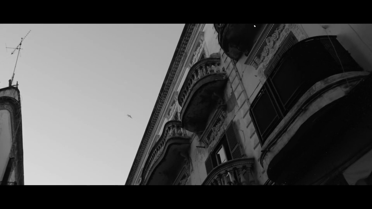 MCN - DBNA [🔥OFFIZIELLES YOUTUBE EXKLUSIV🔥]