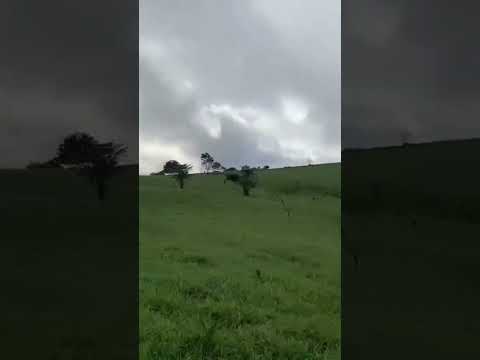 Combates, chaparral tolima