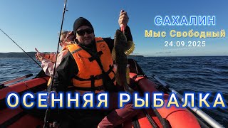 картинка: Сахалин. Осенняя морская рыбалка. 24.09.2025 Autumn Sea Fishing in Sakhalin