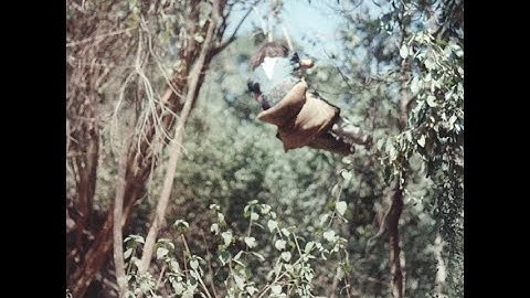 Takagi Masakatsu - Opus Pia (FULL CD ALBUM - 2002 - Carpark Records - Experimental/Field Recording)