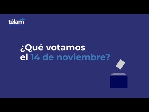¿Qué votamos el 14 de noviembre?