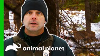 Officers Set Up A Deer Decoy To Catch Illegal Shooters | North Woods Law