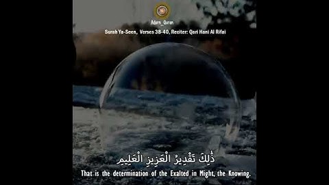 والشمس تجري لمستقرً لها حالات وتس /حالات قرآن تلاوة تريح القلب