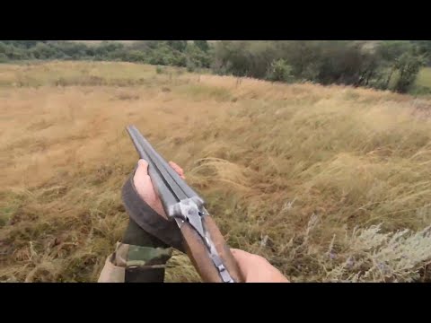 Открытие охоты на перепела 2021г. Hunting.
