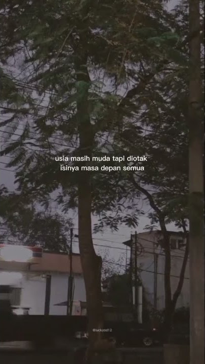 story wa||  usia masih muda tapi otak isi nya masa depan semua 😁