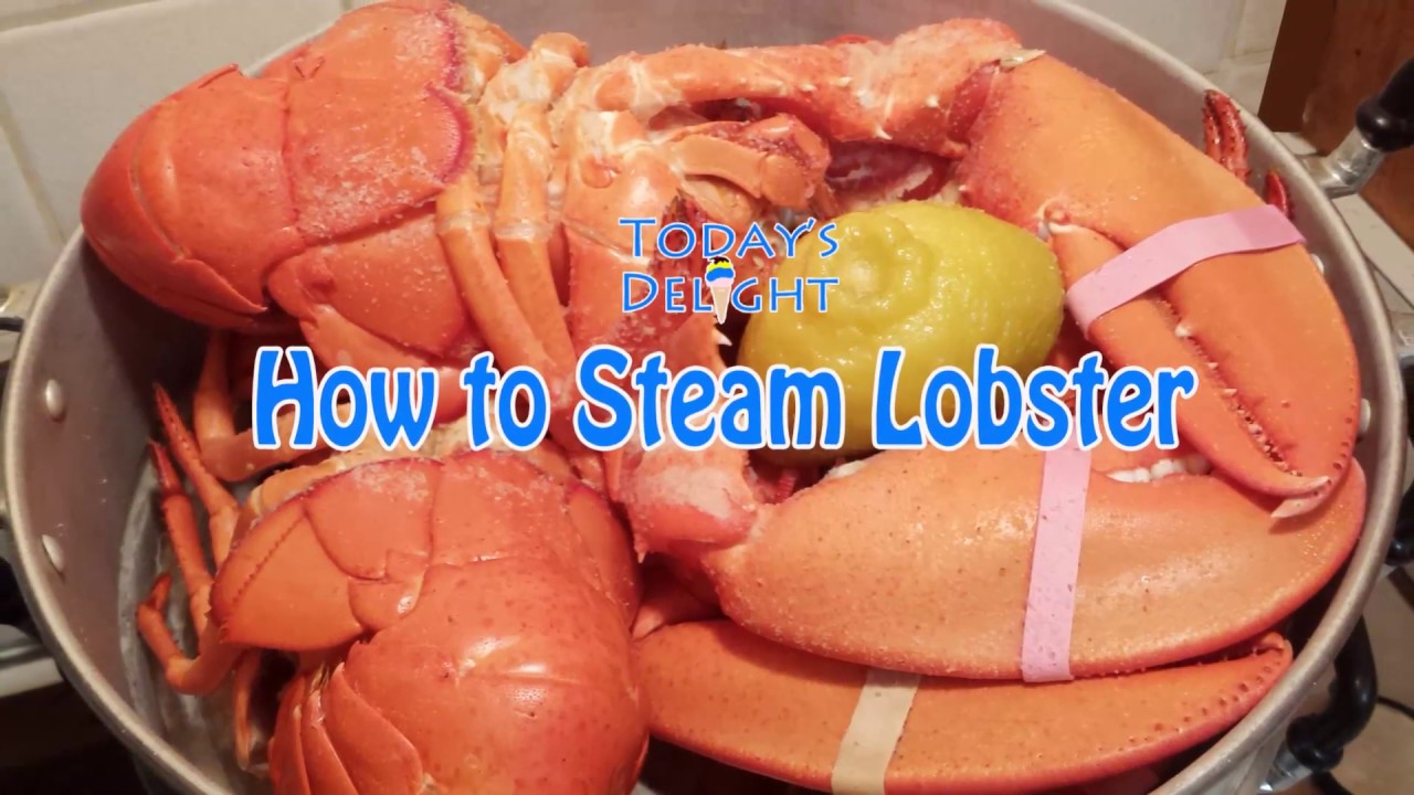 How To Steam Lobster Today S Delight Youtube