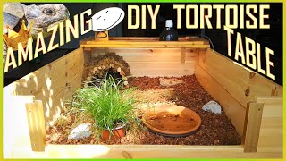 HOW TO MAKE AN AMAZING TORTOISE TABLE | ULTIMATE DIY Reptile Enclosure