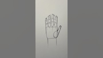 How to Draw Hands ✨Easy✨ #drawing #sketch #hand #hands #tutorial #howtodraw #simple #easy #beginners