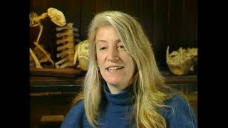 Cycles of Life: Exploring Biology - Episode 11 (Macroevolution)