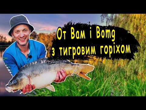 От Вам і