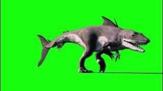 KING SHARK MEGALODON - Dinosaur Green Screen