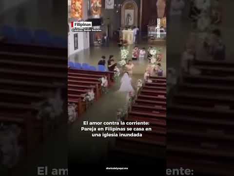 Video Youtube gXWNeYo5f64