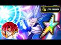 TEQ LR GOHAN BEAST ON AGL GOD GOKU TEAM! Dragon Ball Z Dokkan Battle