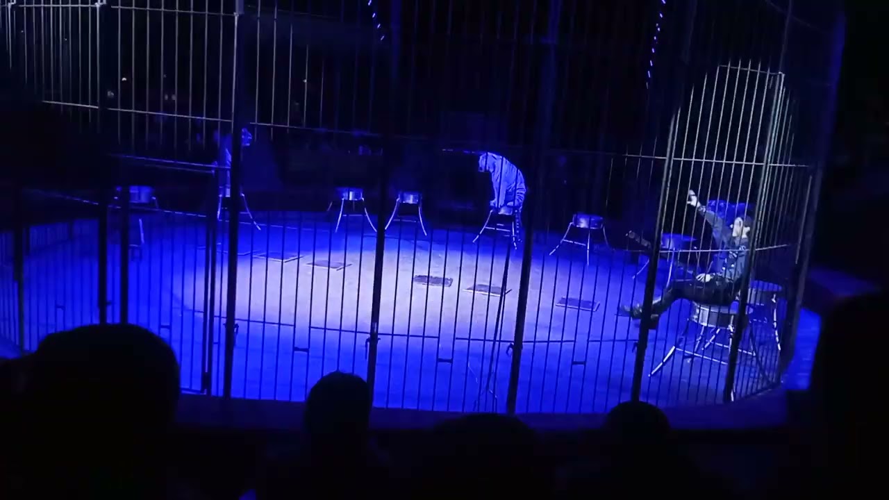 28 февраля 2026 г.