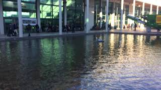 IntCatch 2020 - demo at ecomondo 2017