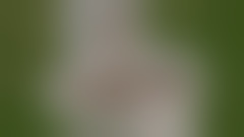 PLANNER 5D| #speedbuild |walkthrough