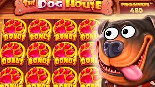 Опасно В Dog House Megaways \ купил  бонуски от 50 до 30  к подряд \ Заносы недели