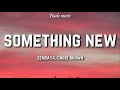 Zendaya - Something New (Lyrics) ft. Chris Brown