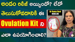 How to use Ovulation Kit for getting pregnancy naturally | Telugu | Dr Rama Devi Health Education screenshot 2