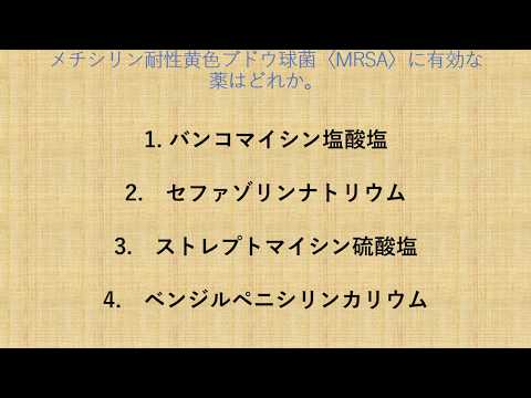 メチシリン耐性黄色ブドウ球菌＜MRSA＞に有効な薬はどれか？？【必修】