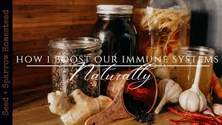 Homemaking: Taking Care of my Family’s Health | Building a Natural Home Apothecary