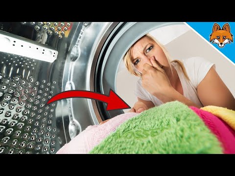 Vidéo: Les dosettes de lessive sont-elles mauvaises pour votre lave-linge ?