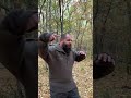 Болевые точки у животных