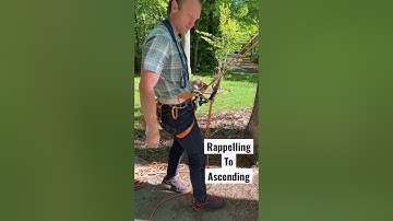 Switch from rappelling to ascending #climbing #rappelling #rope
