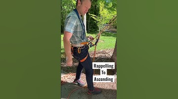 Switch from rappelling to ascending #climbing #rappelling #rope