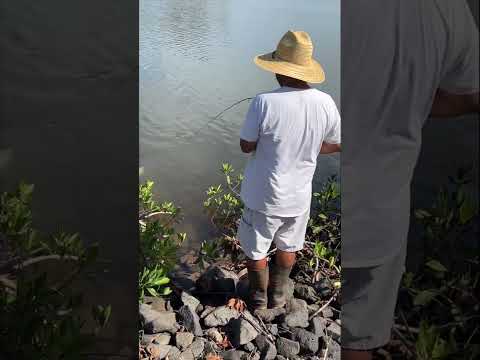 www.youtube.com