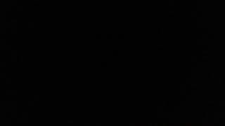 Skatoony Meet Lily The Blue Kitten