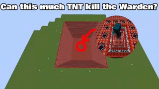 Can this much TNT Kill the Warden?