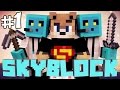 Minecraft: Skyblock - Bölüm 1 - Muhteşem Ada!