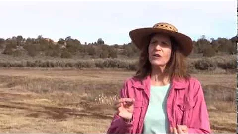 Context and Documentation in Archaeological Excavation