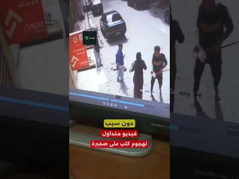 فيديو متداول لهجوم كلب على صغيرة تريندجي