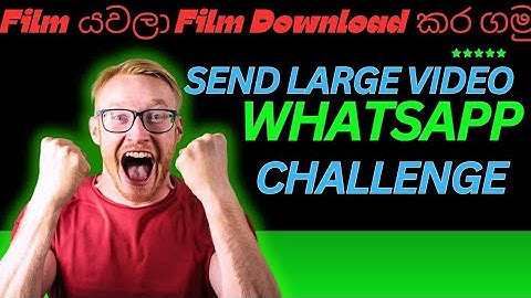 How to Send Large Files / Videos in WhatsApp 2024