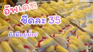 ตลาดทุเรียนไอยรา