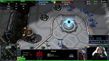 ViBE - Coaching Diamond PvZ How to open and transition to skytoss