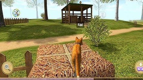 Cat Simulator: Kitties Family | gameplay walkthrough part 5 | Red Chilli Gaming | Android iOS