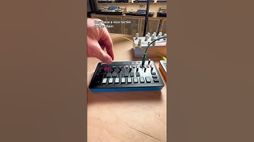 Most importantly, they’re more fun #synth #dawless #analogsynth #electronicmusic #moogaudio #shorts