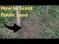 How to Scout Public Land &amp; Trail Cam Check