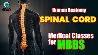 Next Medico : Human Anatomy - Spinal Cord Lecture 2