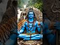 𝐌𝐞𝐫𝐚🙇𝐁𝐡𝐨𝐥𝐚☘️𝐡𝐞 𝐁𝐚𝐧𝐝𝐡𝐚𝐫𝐢#trending#bholenath#mahadev#shivshankar#mahakal#sorts#viralreels#bhaktisong🍃🙏