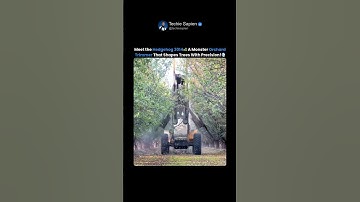 Meet the Orchard Trimmer That Prunes 10x Faster Than Humans 🍑⚙️