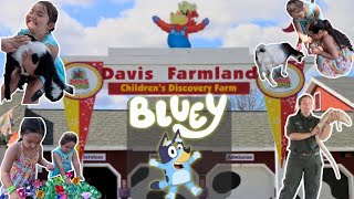Bluey at Davis Farmland | Revisiting Davis Farmland 2024