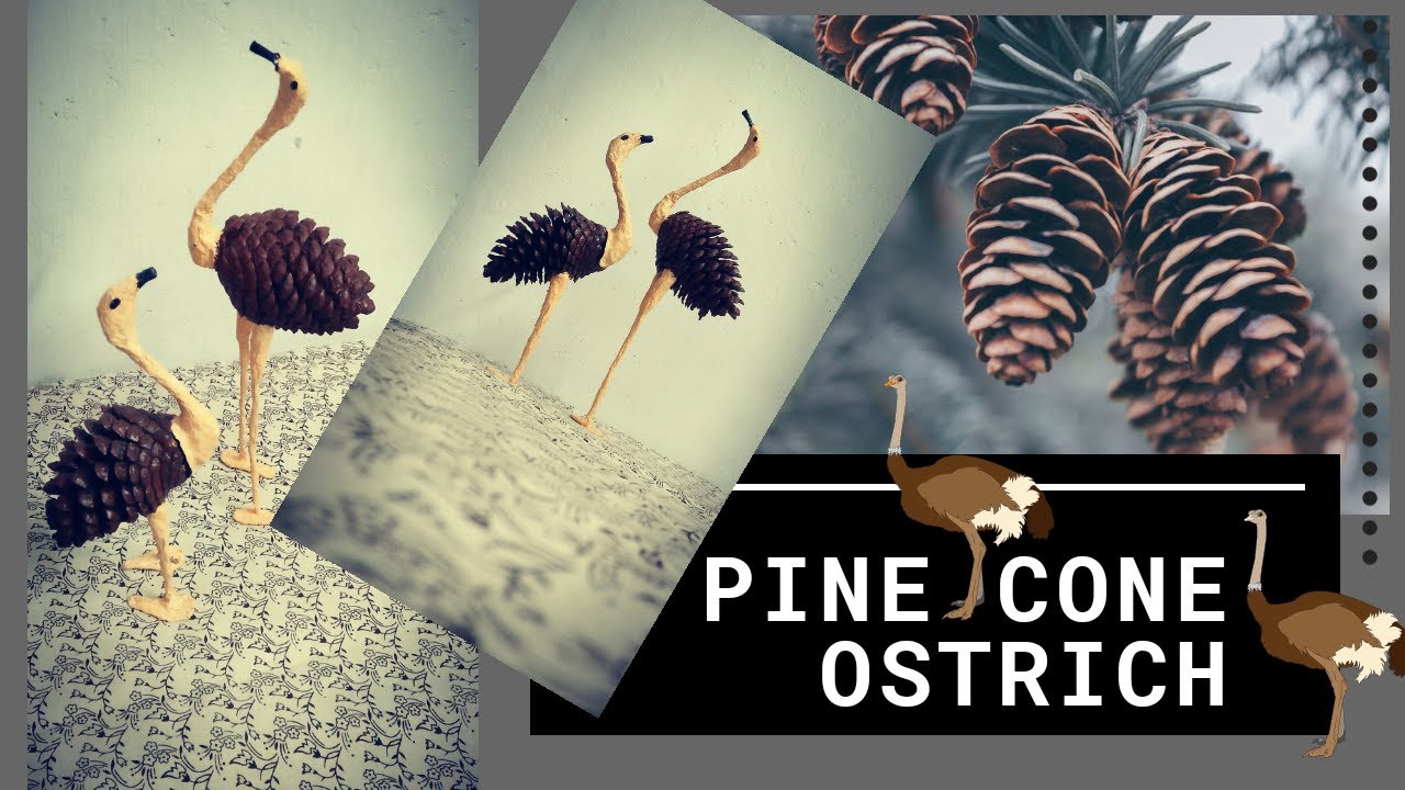 Big Pine Cones Decor Ideas/ Mini Christmas Tree 
