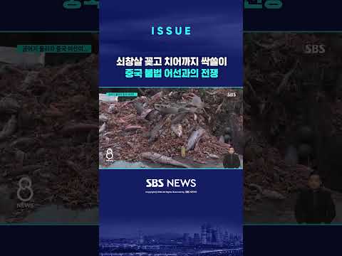 쇠창살 꽂고 치어까지 싹쓸이…중국 <strong>불법</strong> 어선과의 전쟁 #<strong>shorts</strong>