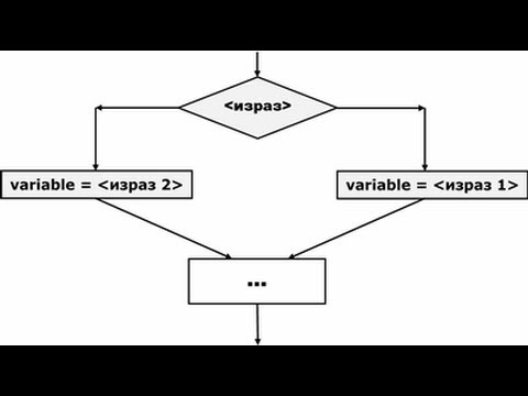 Видео: Какво е присвояване на променлива в C?