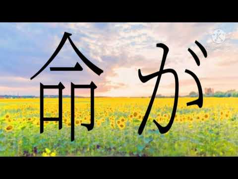 〝 東方PV〟対象X